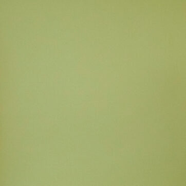 superior13tropicalgreenseamlesspaperbackground2.72x11m