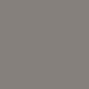 superior43dovegreyseamlesspaperbackground2.72x11m